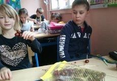 Pracovní vyučování - vyrábění z kaštanů - říjen 2017 Pracovní vyučování - vyrábění z kaštanů - říjen 2017