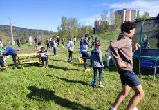 IMG_20230508_165334.jpg IMG_20230508_165334.jpg