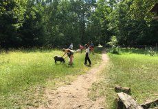 Prokopské údolí ZOO koutek Prokopské údolí ZOO koutek