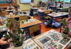 Pečujeme o naše rostliny Pečujeme o naše rostliny