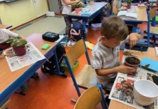 Pečujeme o naše rostliny Pečujeme o naše rostliny