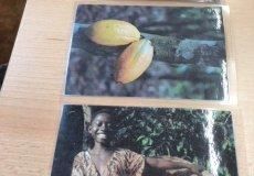 Afrika Afrika