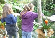 Botanická zahrada v Tróji Botanická zahrada v Tróji