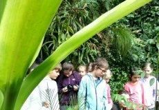 Botanická zahrada v Tróji Botanická zahrada v Tróji