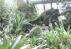 Botanická zahrada v Tróji