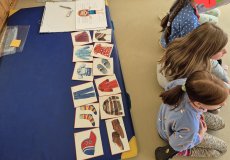 Language whiz Language whiz
