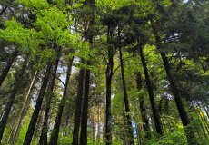 Třídenní výlet Harrachov Třídenní výlet Harrachov
