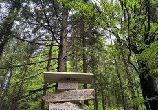 Třídenní výlet Harrachov Třídenní výlet Harrachov