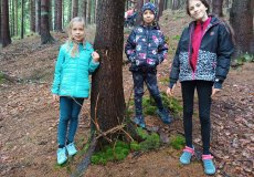 Školní výlet Harrachov Školní výlet Harrachov