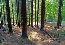 Školní výlet Harrachov Školní výlet Harrachov