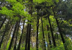 Školní výlet Harrachov Školní výlet Harrachov