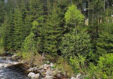 Školní výlet Harrachov Školní výlet Harrachov