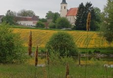 švp švp