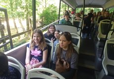 IMG_20250526_154926.jpg