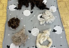 Workshop Práce s ovčí vlnou
