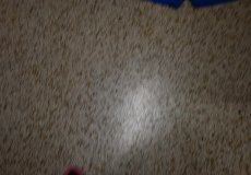 DSC_2988.JPG DSC_2988.JPG