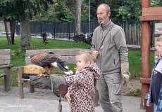 Dravci v letu