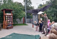 Dravci v letu