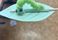 IMG_4311.jpeg IMG_4311.jpeg