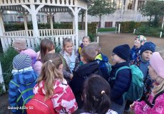 NZM, program „Dvoreček”