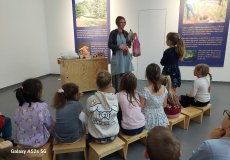 NZM, program „Dvoreček”
