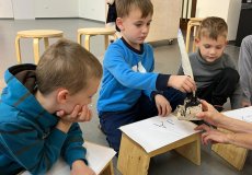 NZM, program „Dvoreček”