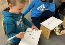 NZM, program „Dvoreček”