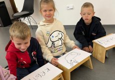 NZM, program „Dvoreček”