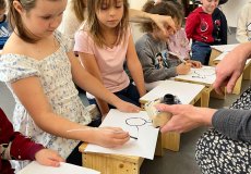 NZM, program „Dvoreček”