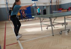 Stolní tenis 