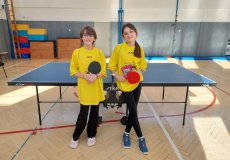 Stolní tenis 