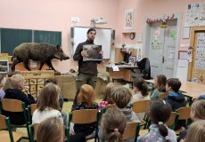 Povídání o lesních zvířatech 