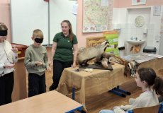 Povídání o lesních zvířatech 