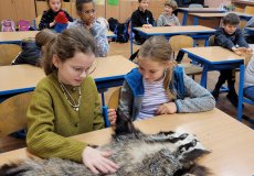 Povídání o lesních zvířatech 