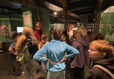 Program Důlek v NTM