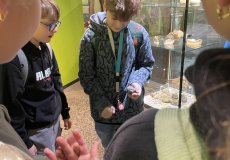 Program Důlek v NTM