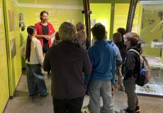 Program Důlek v NTM