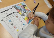 Svatomartinské učení