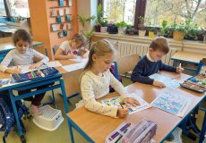 Svatomartinské učení