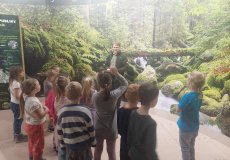 Přednáška o životě v lese