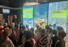 Přednáška o životě v lese