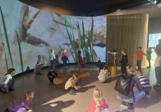 Přednáška o životě v lese