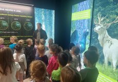 Přednáška o životě v lese