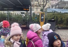 Na stromečky máme štěstí