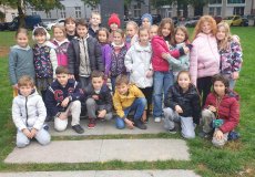 Pracovní činnosti v parku