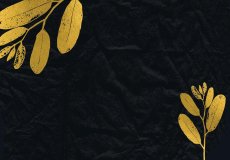 Ilustrativní obrázek aktuality S úctou vzpomínáme