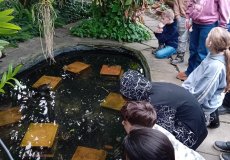 Na návštěvě skleníků tropů a subtropů ČZU