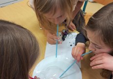 Bublinová základna 