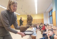 Sovy ze stanice Penthea