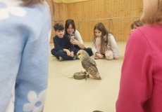 Sovy ze stanice Penthea